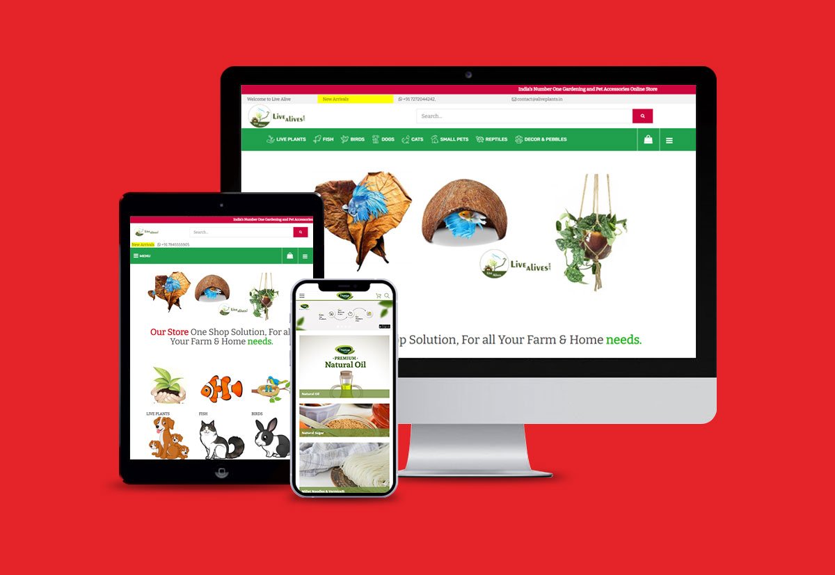 Web Design & Development