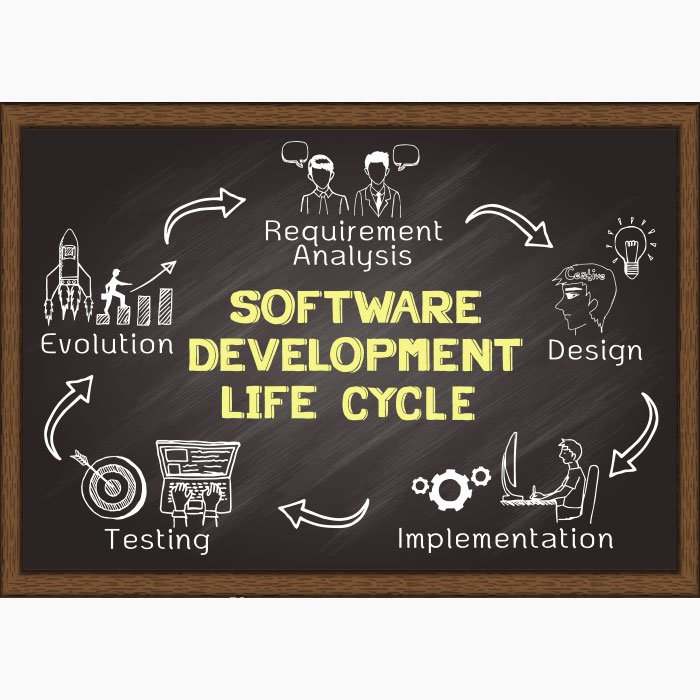 Custom Software Development